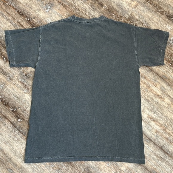 Comfort Colors Tee Shirt Eureka Springs Arkansas Size Medium Gray White Graphic - Picture 3 of 9